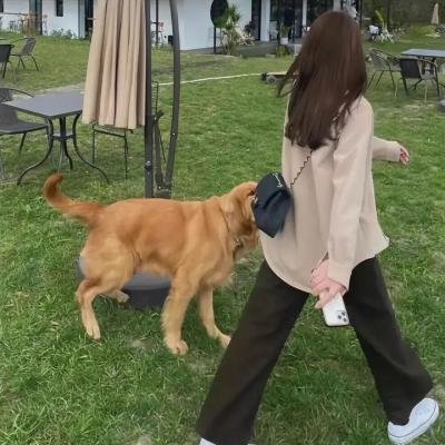 虹猫蓝兔奥悠国历险记